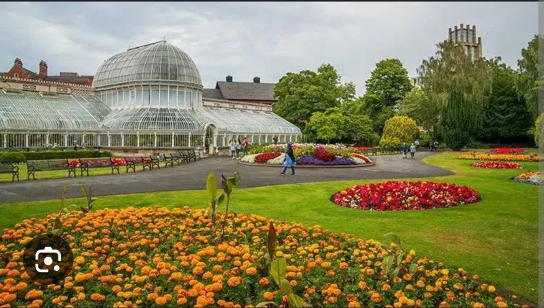 Your Home, Belfast