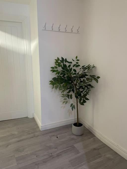 Apartment Modern 1-bed Belfast