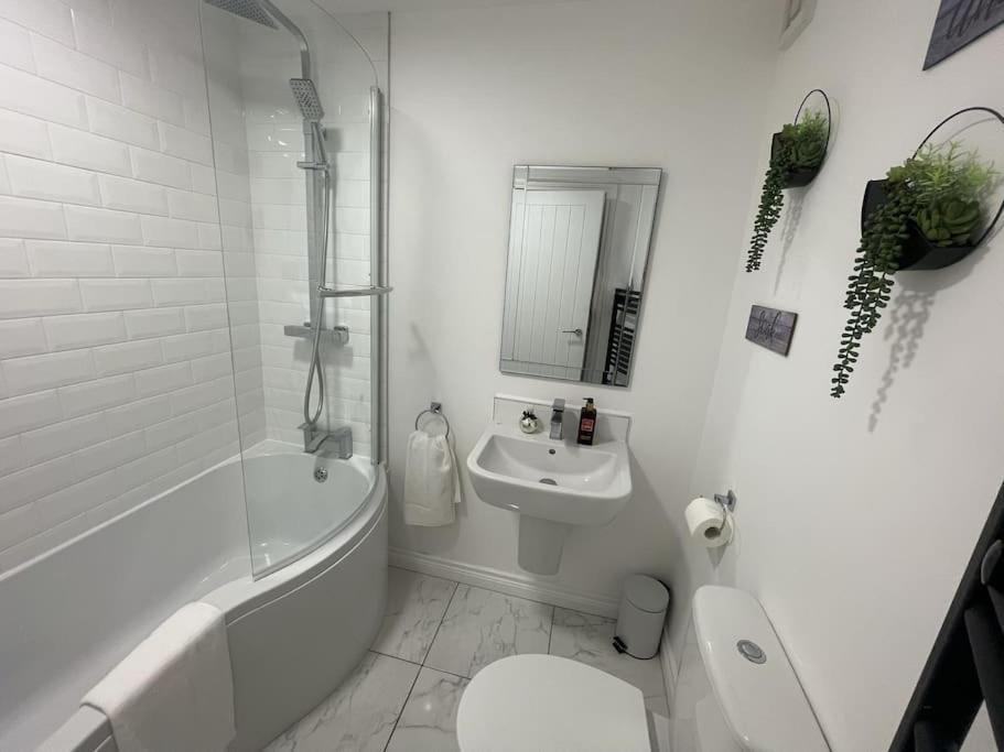 Apartment Modern 1-bed