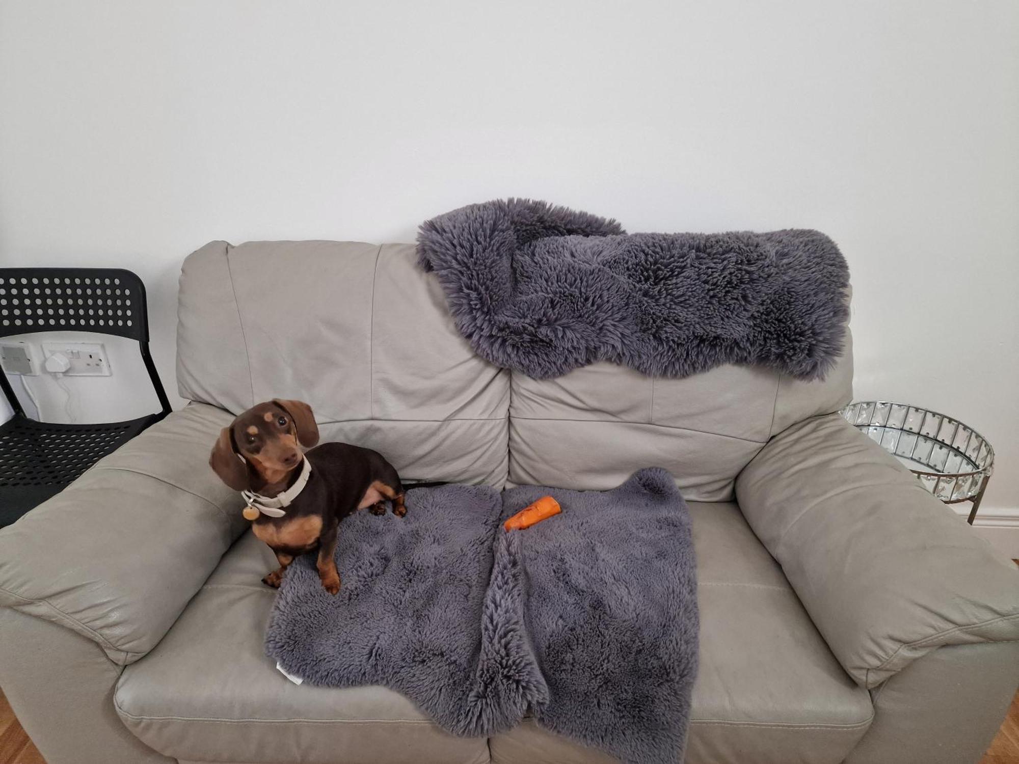 Aunty Katie'S House, Ni Tourist Board Certified & Located On The Main Oldpark Road To Belfast, With Free Continental Breakfast & Free Ultra Fast Sky Internet, Free Sky Sports & Free Sky Cinema, Self-Check In After 10Pm Gmt *