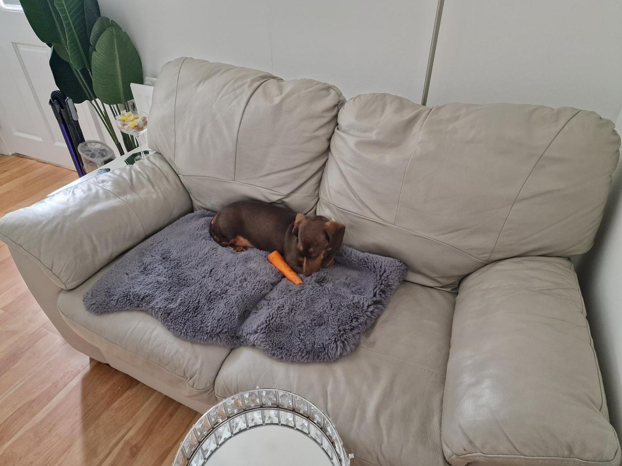 Aunty Katie'S House, Ni Tourist Board Certified & Located On The Main Oldpark Road To Belfast, With Free Continental Breakfast & Free Ultra Fast Sky Internet, Free Sky Sports & Free Sky Cinema, Self-Check In After 10Pm Gmt * Belfast