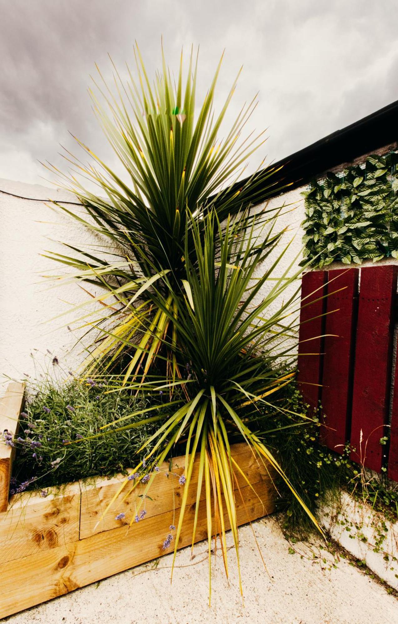 Holiday home Friars Bush House - Stunning 4 Bedroom Detached House In Exclusive Queens Quarter Luxury Centre *