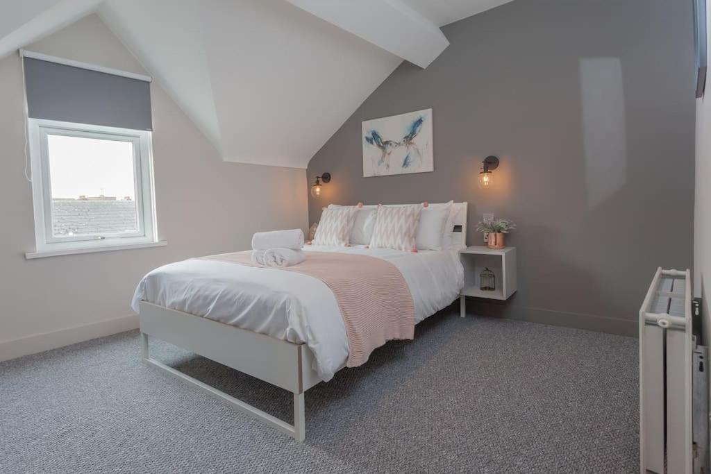 Luxury Duplex 3 Minutes From Centre Belfast