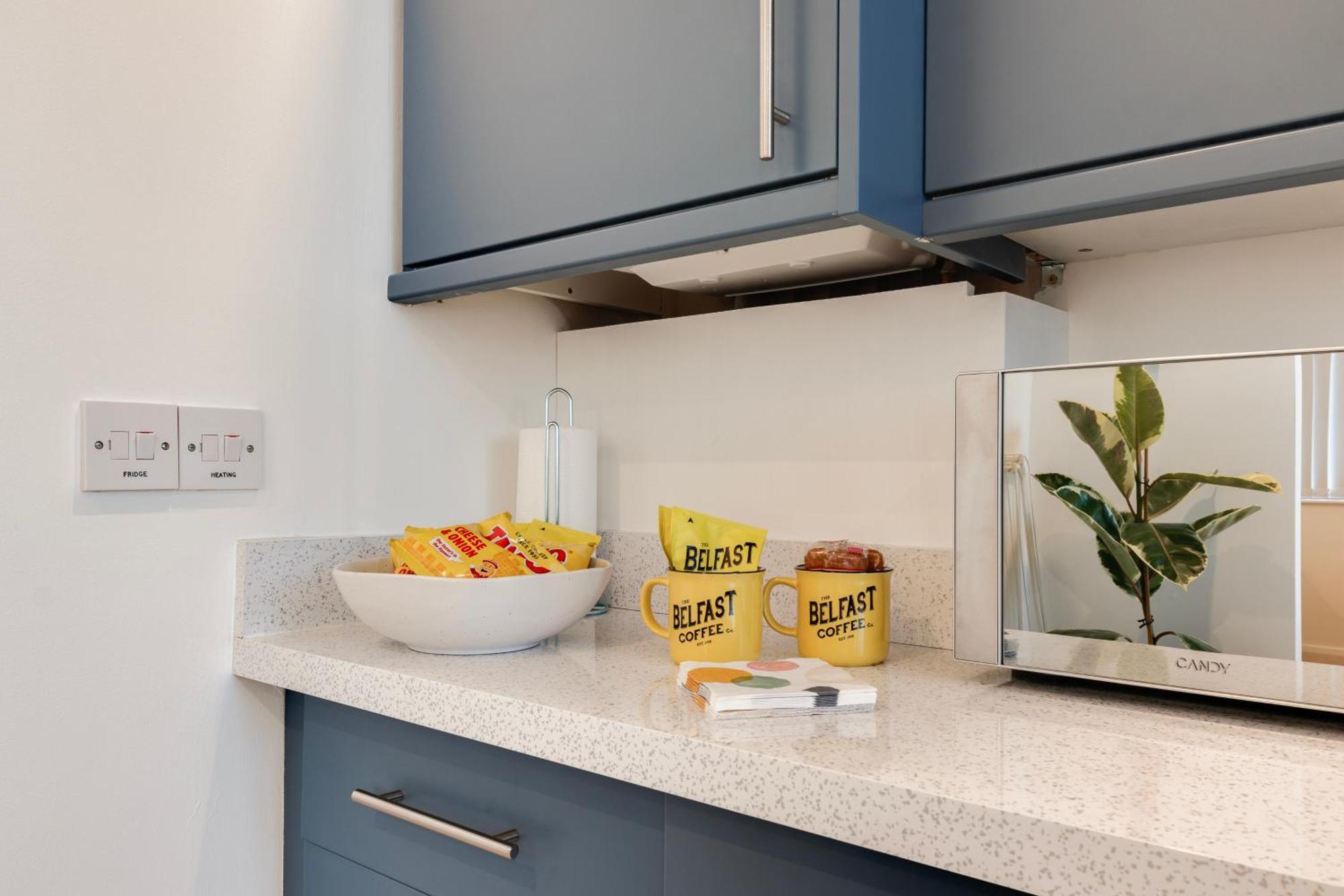 Cherryville Street Apartment Belfast
