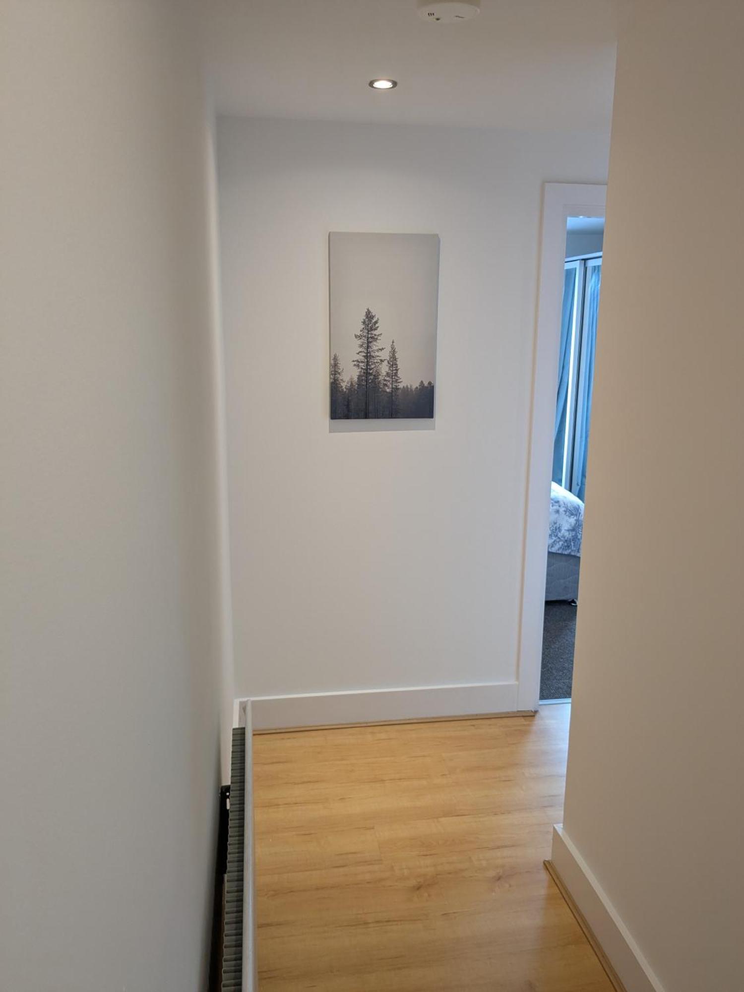 Apartment Cosy 1 Bedroom With Secure Private Parking And Excellent Transport Links Belfast