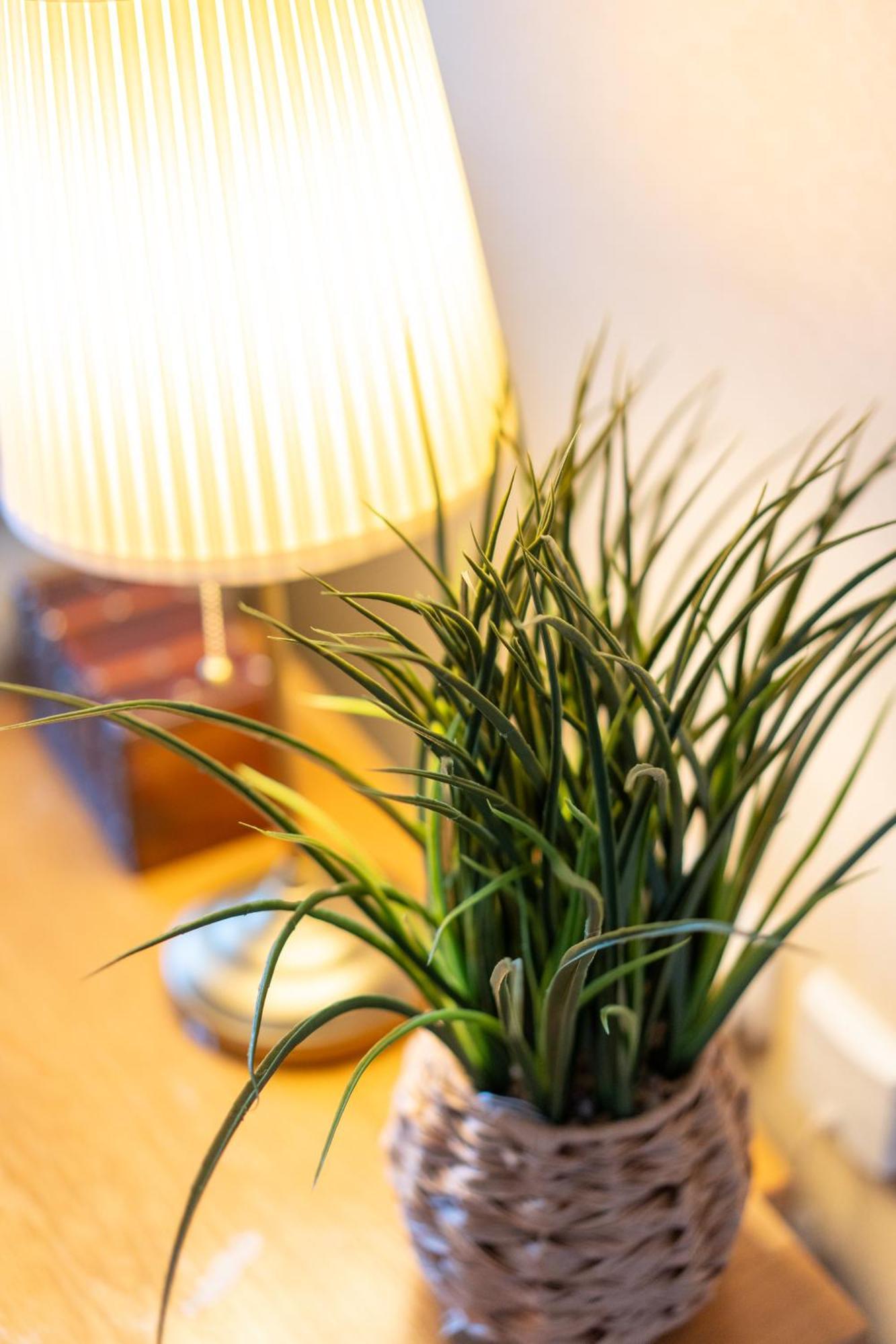 Cathedral Quarter Pad - Stylish - Free Parking *