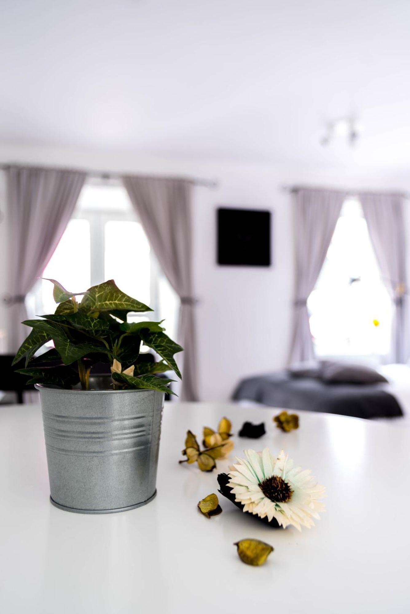 Amica Guest house 3*