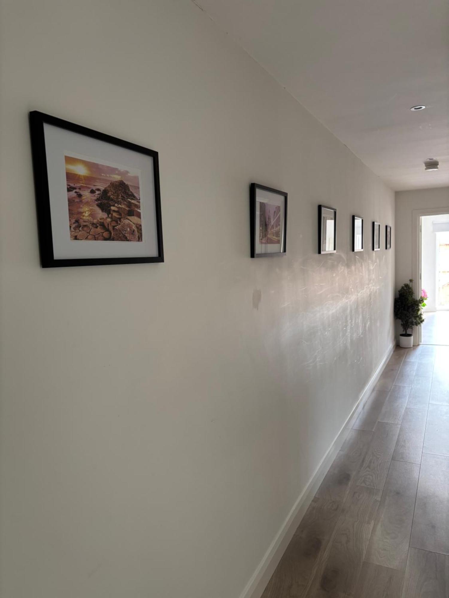 Apartment Queens 1 Bedroom Belfast