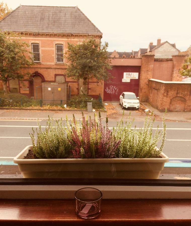 Lwr Ormeau