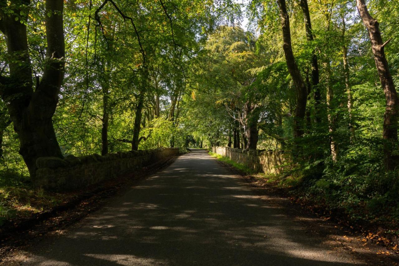 Millbrae Belfast
