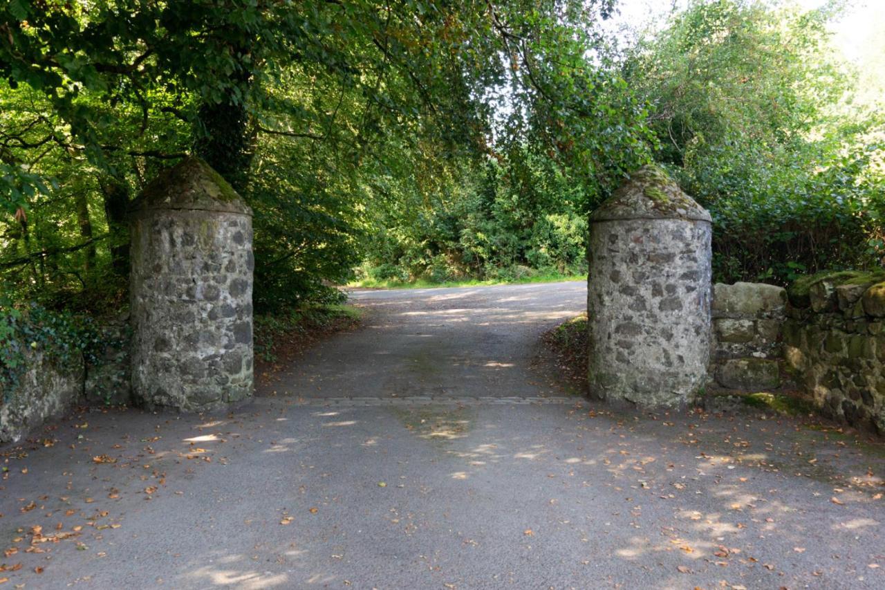 Millbrae Bed & Breakfast Belfast