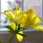 Pass The Keys Wonderful 3Br Townhouse Top Location Cafes