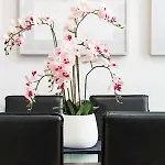 The Linen Mill Apartment Pass The Keys