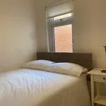 Comfort Escape