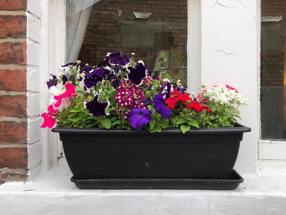 Beersbridge Cottage Near Titanic Centre & Airport Belfast