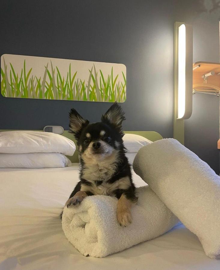 Hotel Ibis Budget Belfast City Centre Belfast
