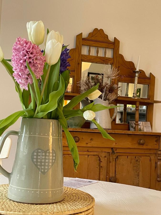 Beersbridge Cottage Near Titanic Centre & Airport Holiday home *