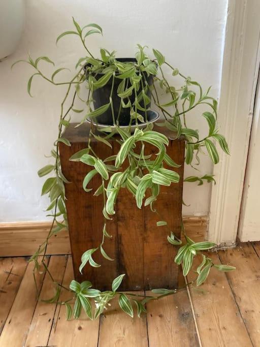 Unique Bohemian Artist Townhouse * Belfast