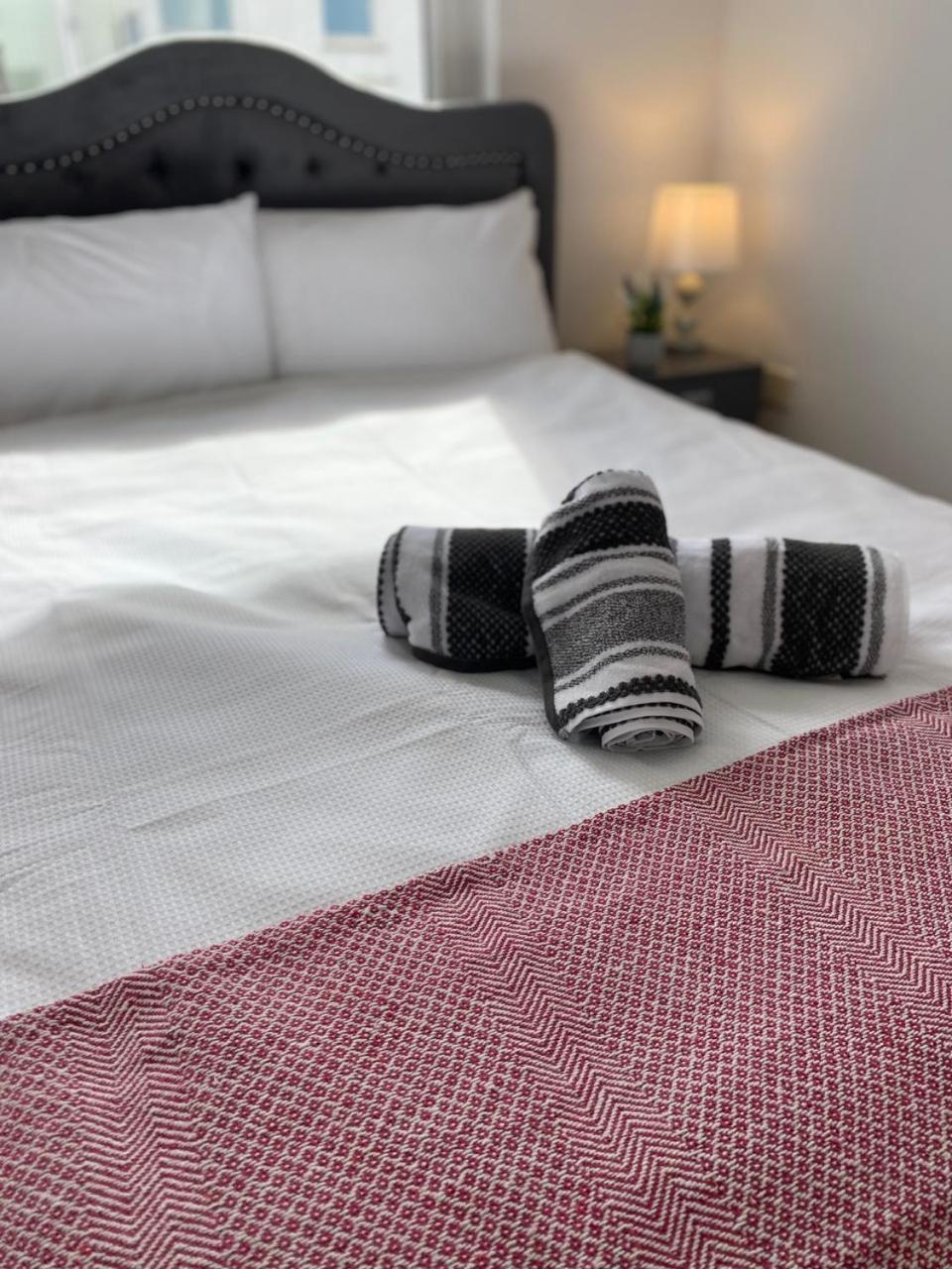 The Duffy Apartment Belfast