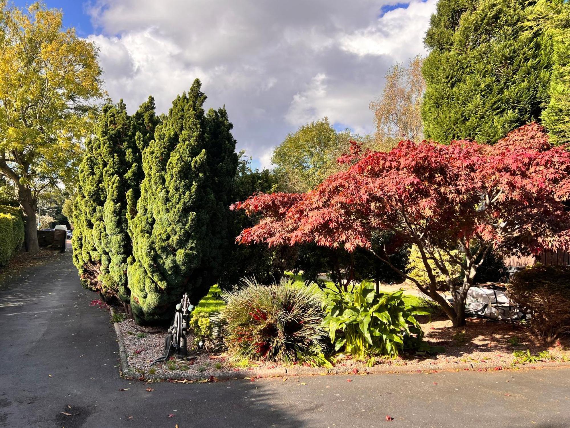 Ashfield Bed & Breakfast