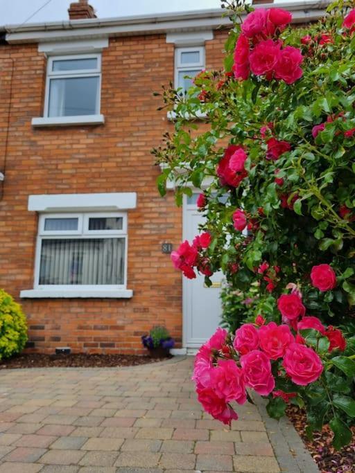 Darcy's Stopover Nitb Approved Holiday home Belfast