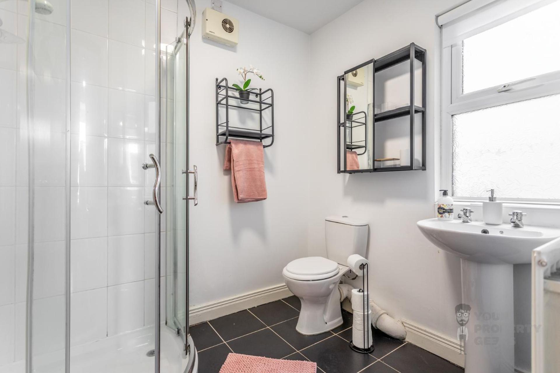 Attic Style 2 Bed Duplex With Rooftop Patio Apartment Belfast