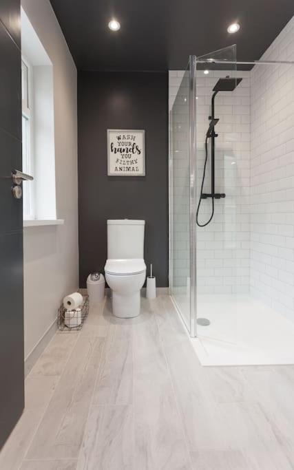 Luxury Duplex 3 Minutes From Centre Apartment Belfast