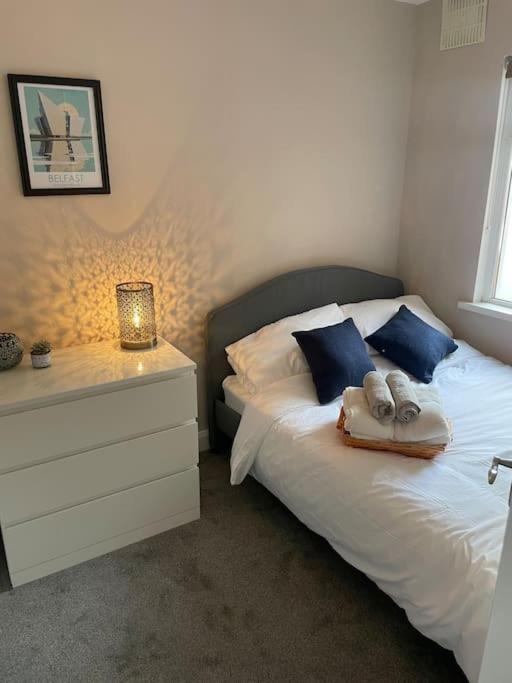 Holiday home Comfortable In Belfast