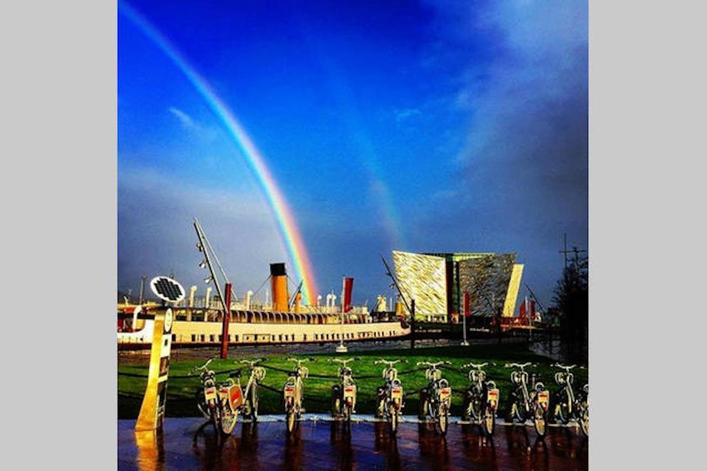 Ck Serviced Belfast