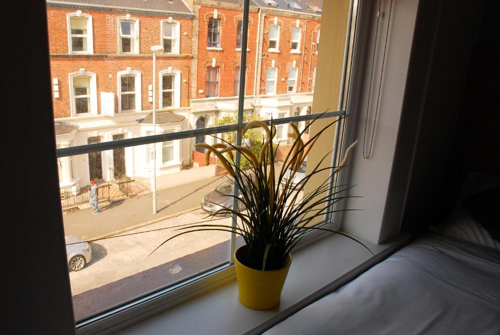Botanic Rest Queens Quarter 3* Belfast