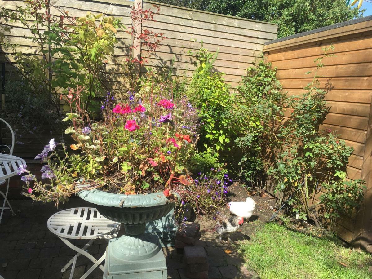 Guest house Brackenberry Belfast