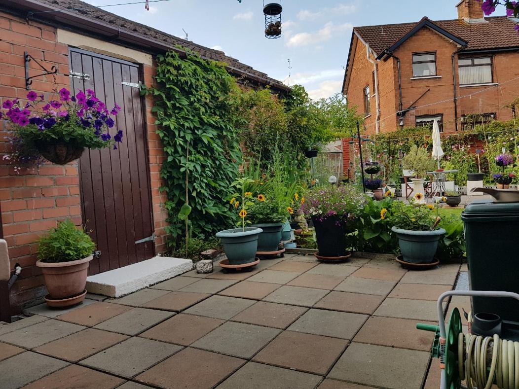 Cead Mile Failte West Homestay Belfast